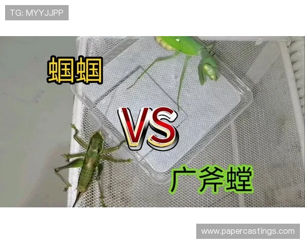 解析凯发体育游戏的策略与技巧,令你轻松取胜 解析凯发体育游戏的策略与技巧,令你轻松取胜